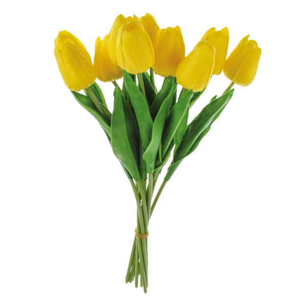 slide 1 of 1, Tulips Bouquet, 10 ct