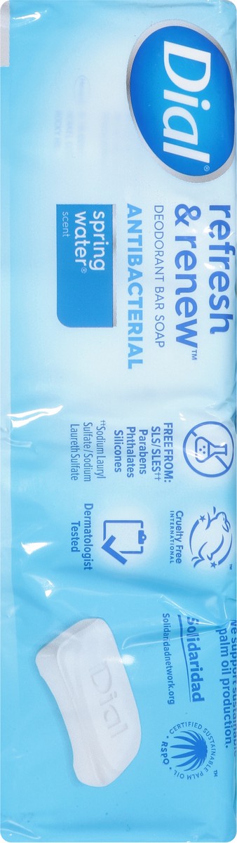 slide 9 of 9, Dial Hydraclean Complex Antibacterial Refresh & Renew Spring Water Deodorant Bar Soap 8 - 4 oz Bars, 8 ct