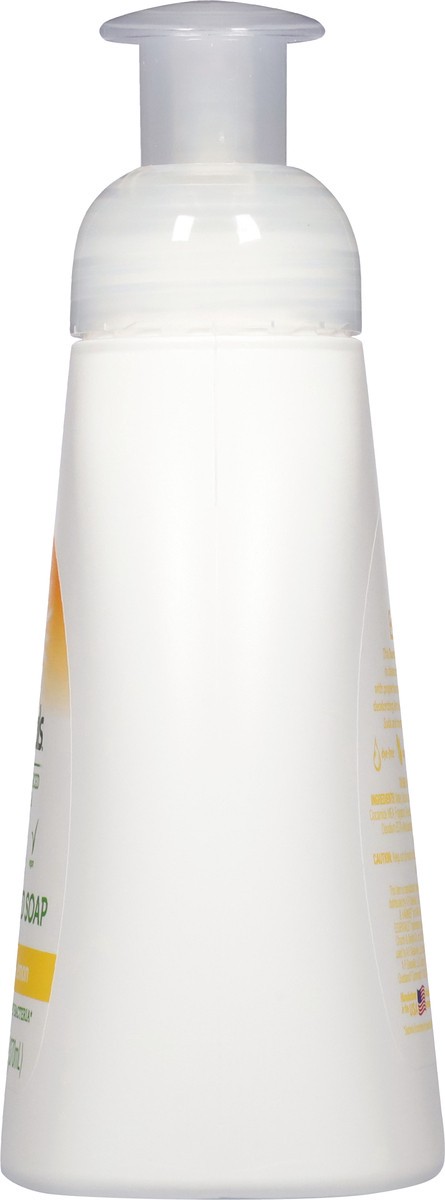 slide 11 of 13, Essentials Foaming Fresh Lemon Hand Soap 12.5 fl oz, 12.5 fl oz