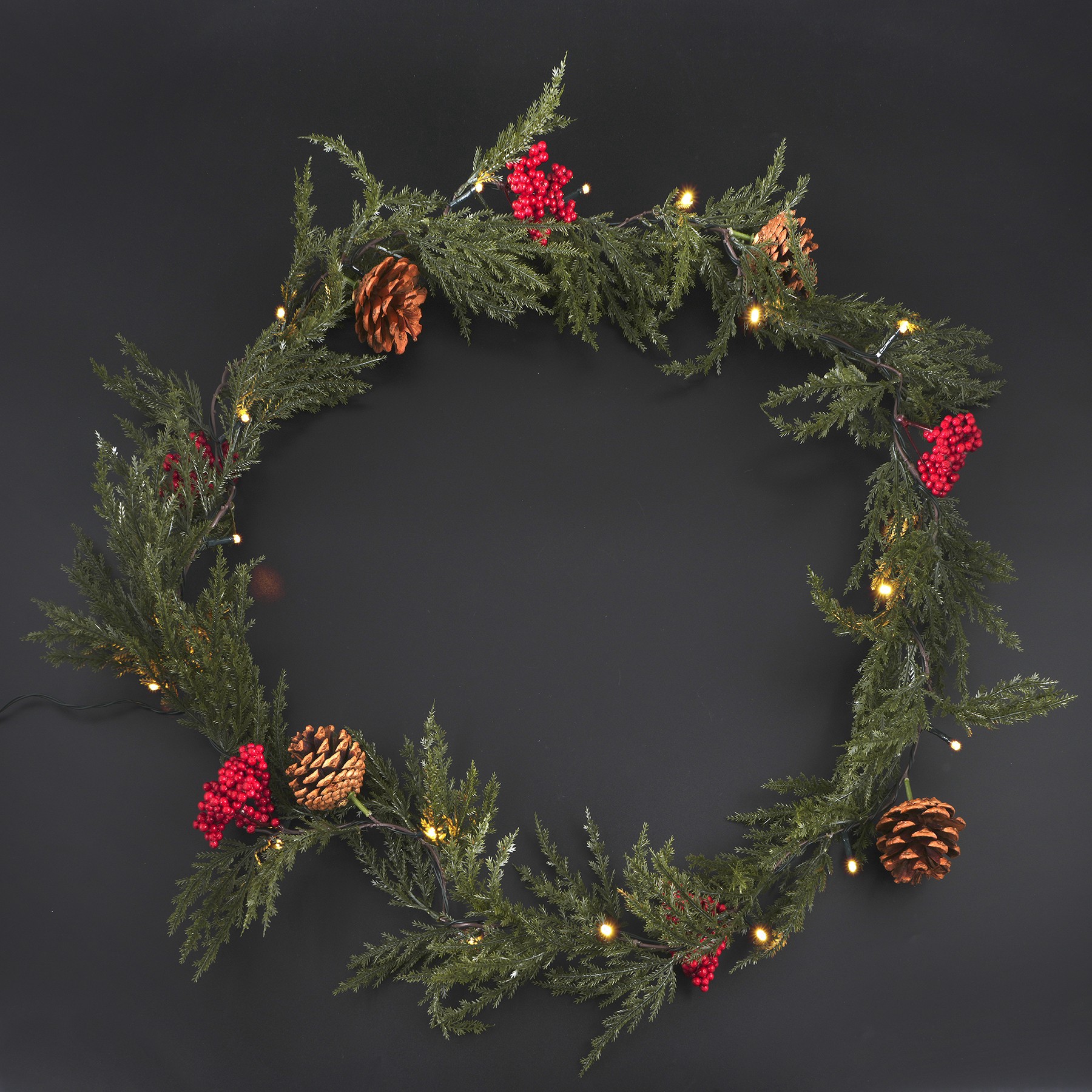 slide 2 of 2, 20ct. Warm White Led Red Berry & Pinecone Garland String Lights By Ashland, 20 ct