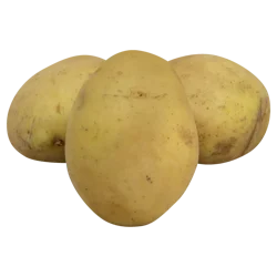 Organic Yukon Gold Potatoes