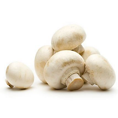 slide 1 of 1, Highline Mushrooms Organic White Stuffer Mushrooms, 1 ct