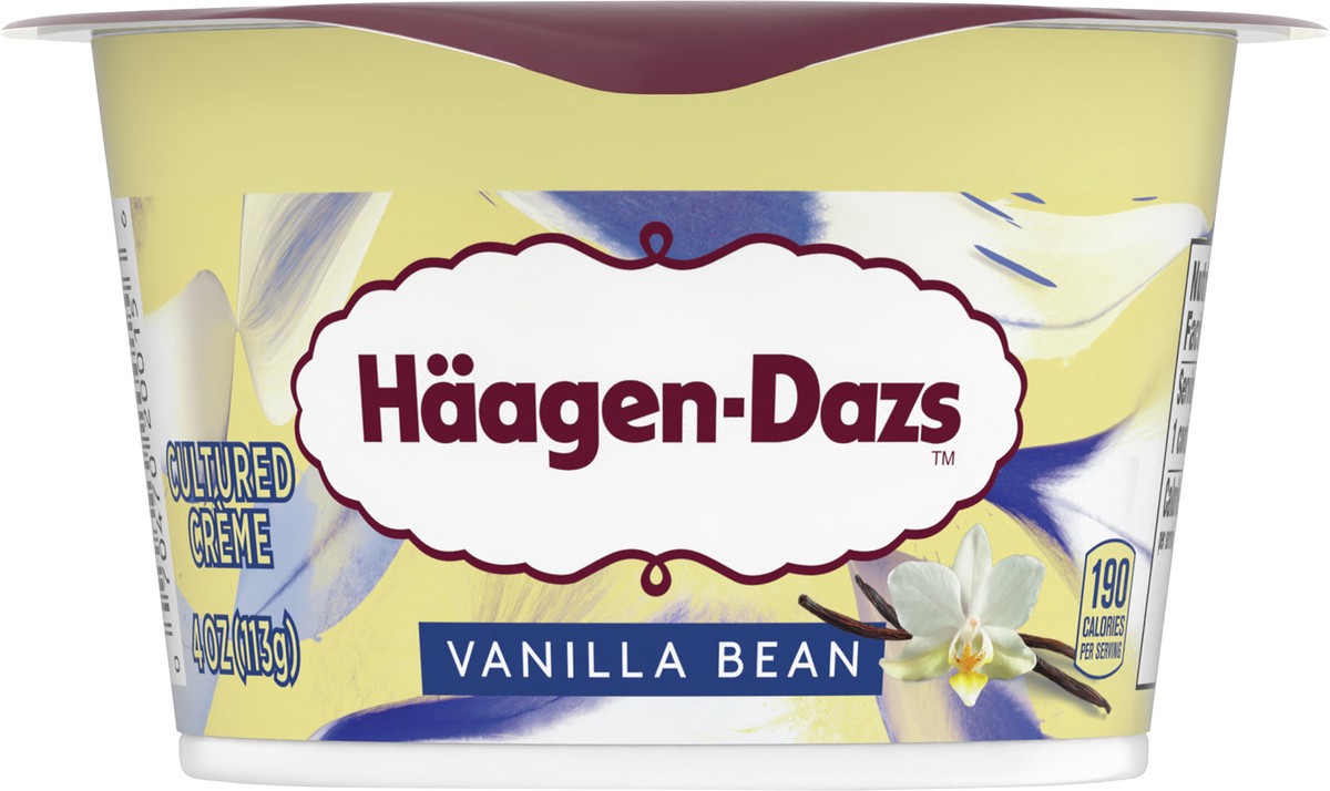 slide 8 of 11, Häagen-Dazs Haagen Dazs Cultured Cream Yogurt Style Snack, Vanilla Bean, 4 oz Cup, 4 oz