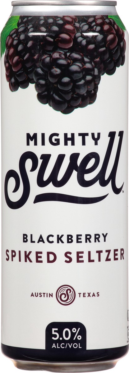 slide 2 of 12, Mighty Swell Blackberry Cans, 1 ct