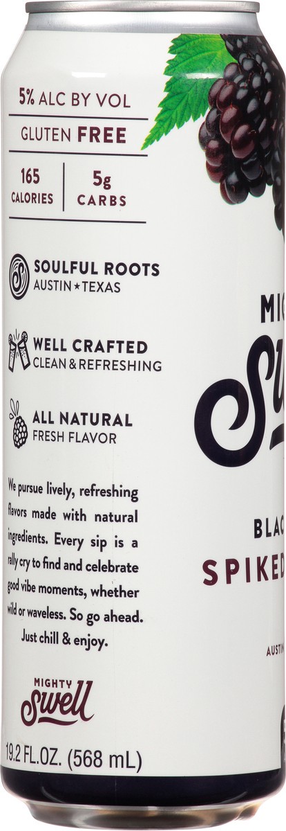 slide 3 of 12, Mighty Swell Blackberry Cans, 1 ct