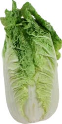 Organic Napa Cabbage