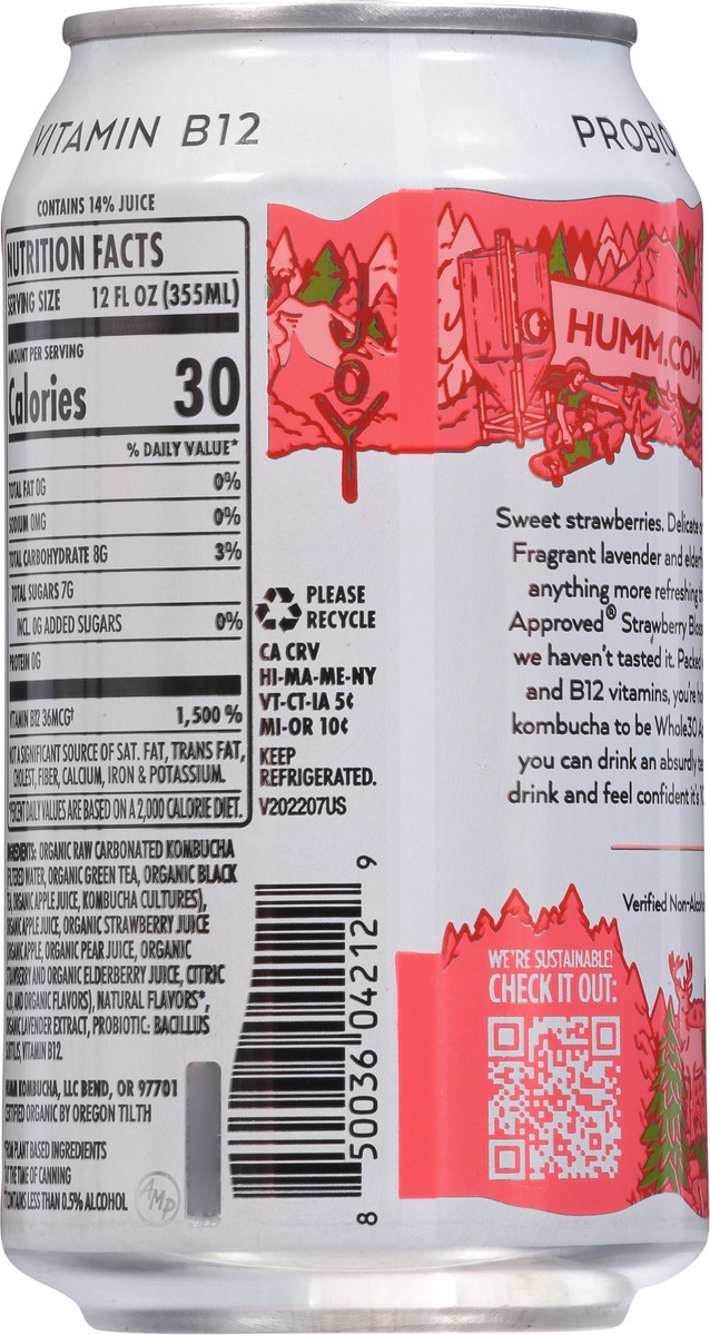 slide 4 of 9, Humm Probiotic Strawberry Blossom Kombucha - 12 fl oz, 12 fl oz