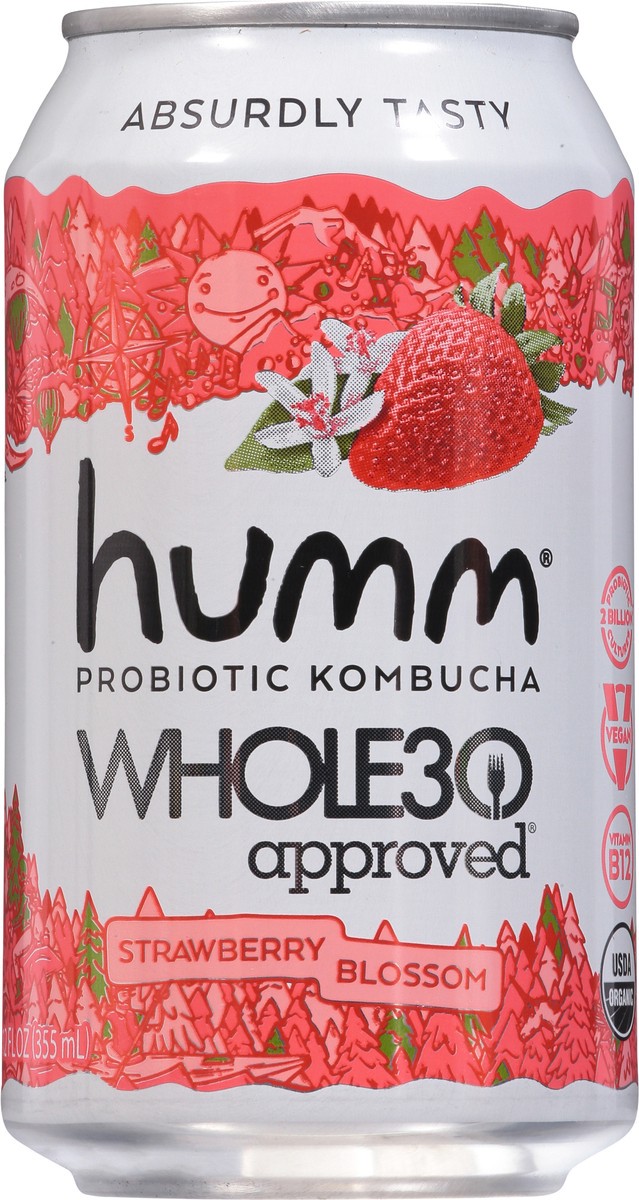 slide 2 of 9, Humm Probiotic Strawberry Blossom Kombucha - 12 fl oz, 12 fl oz