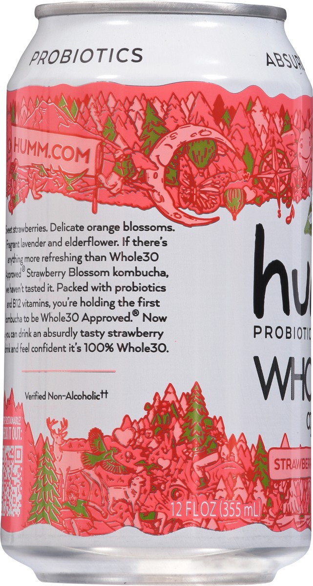 slide 3 of 9, Humm Probiotic Strawberry Blossom Kombucha - 12 fl oz, 12 fl oz