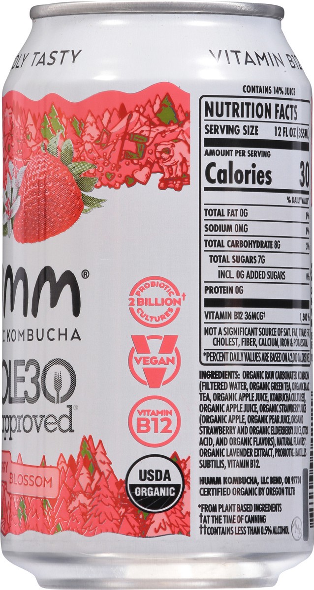 slide 7 of 9, Humm Probiotic Strawberry Blossom Kombucha - 12 fl oz, 12 fl oz