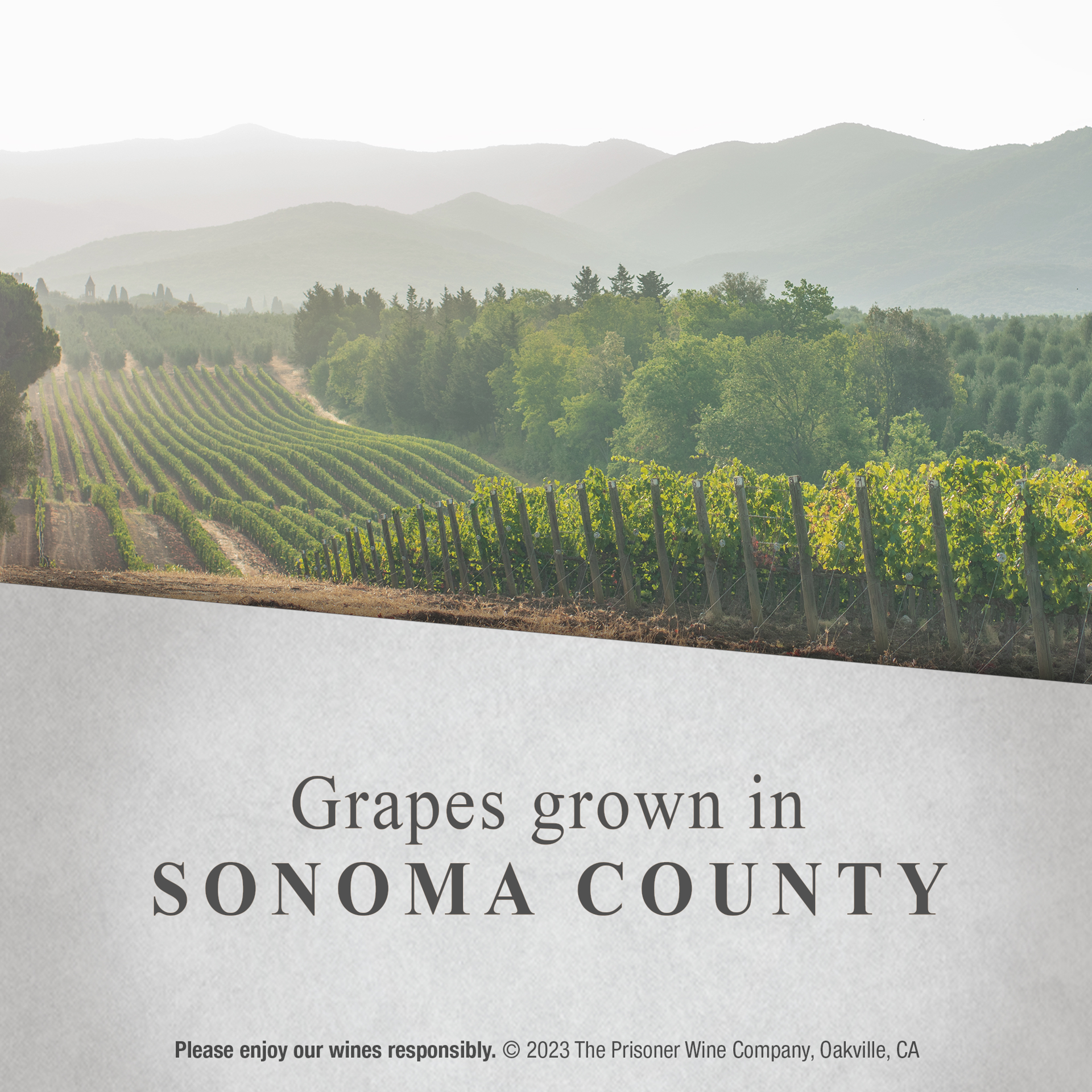 slide 3 of 10, Blindfold Sauvignon Blanc White Wine, 750 ml