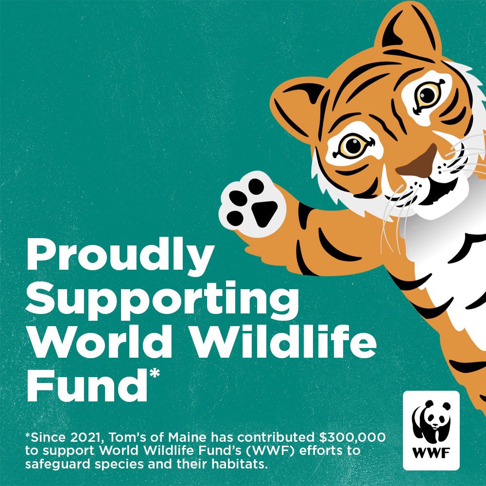 slide 2 of 11, Tom's of Maine Children's Natural Anticavity Fluoride Toothpaste, Watermelon, 5.1 oz. 6-pk, 5.1 oz