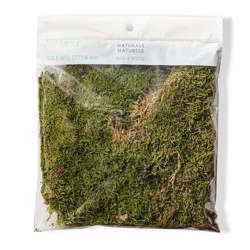 SuperMoss Sheet Moss - 2 Fresh Green