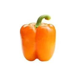 Orange Bell Pepper