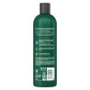 slide 17 of 21, TRESemmé Tresemme Pro Infusion Fluid Smooth Silky & Supple Conditioner - 16.5 fl oz, 16.5 fl oz