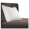 slide 14 of 21, Sealy Stain Release Zippered Pillow Protector, Standard/Queen, 1 ct