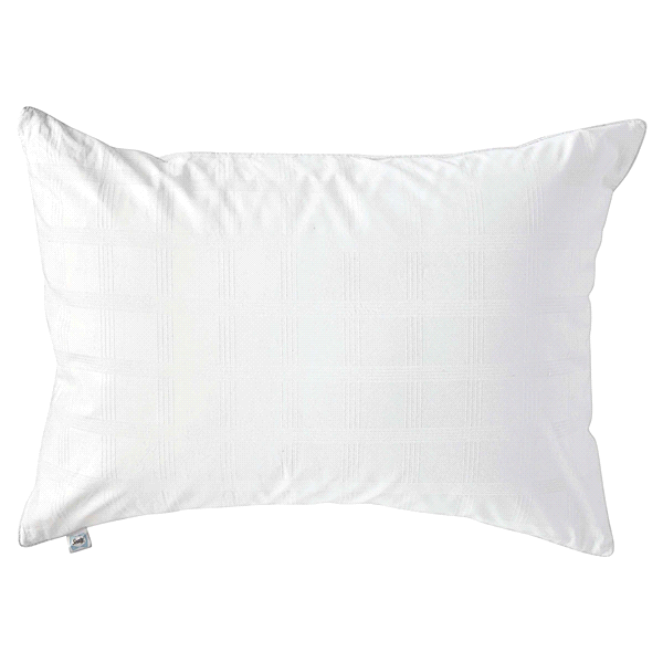 slide 7 of 21, Sealy Stain Release Zippered Pillow Protector, Standard/Queen, 1 ct