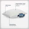 slide 10 of 17, Allerease Clean Boost Bed Pillow Standard/Queen, standard