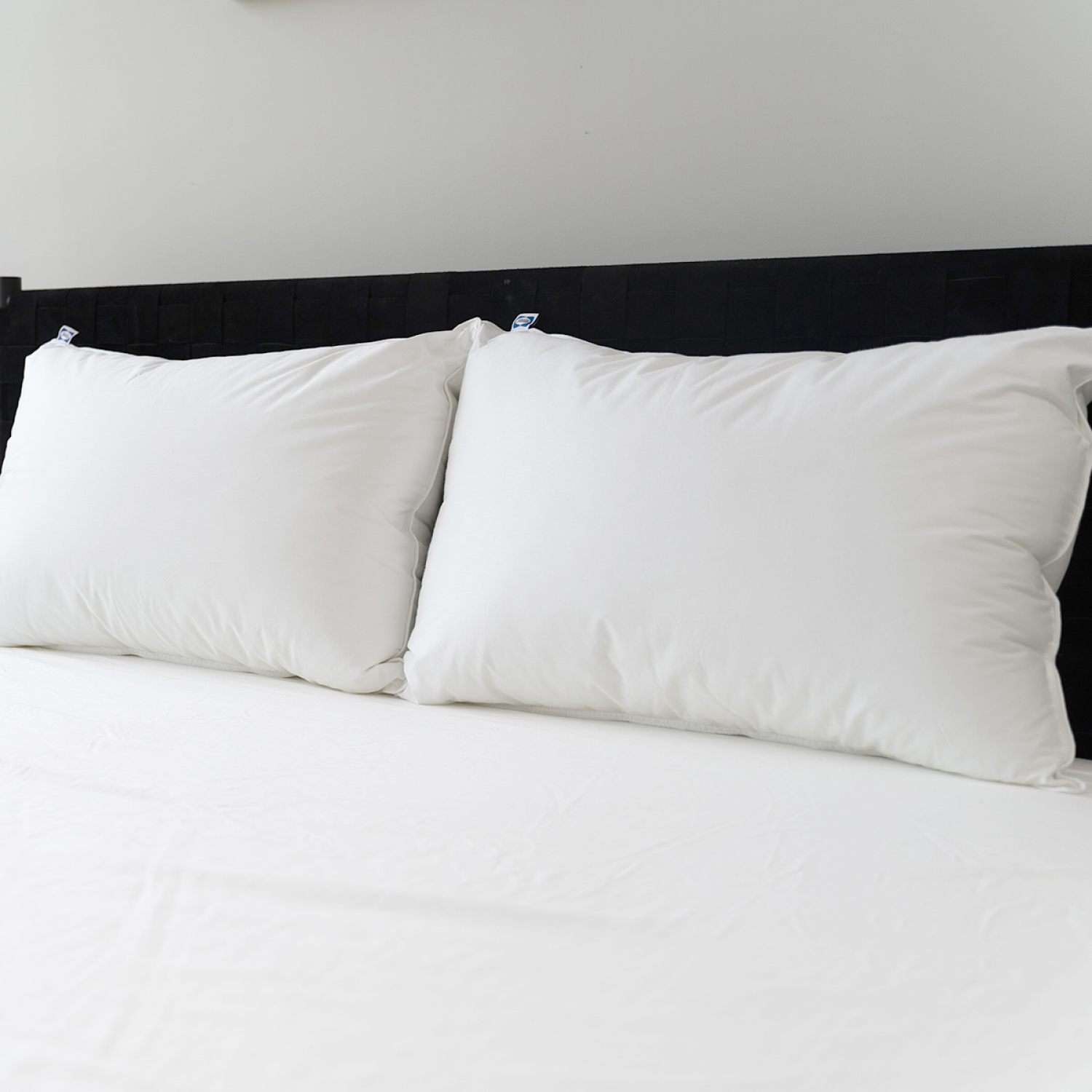 slide 2 of 6, Sealy All Position Pillow, King, King Size