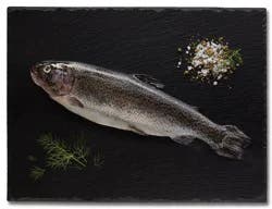 H-E-B Fish Market Fresh Whole Rainbow Trout
