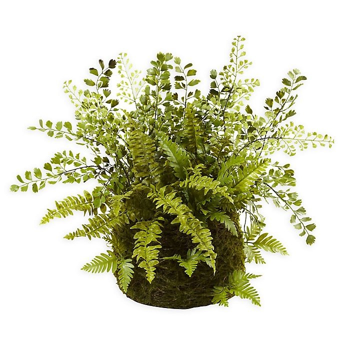 slide 1 of 1, Nearly Natural Mixed Fern with Twig and Moss Basket, 1 ct