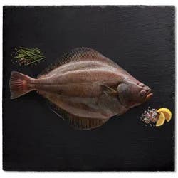 H-E-B Whole Fluke Flounder