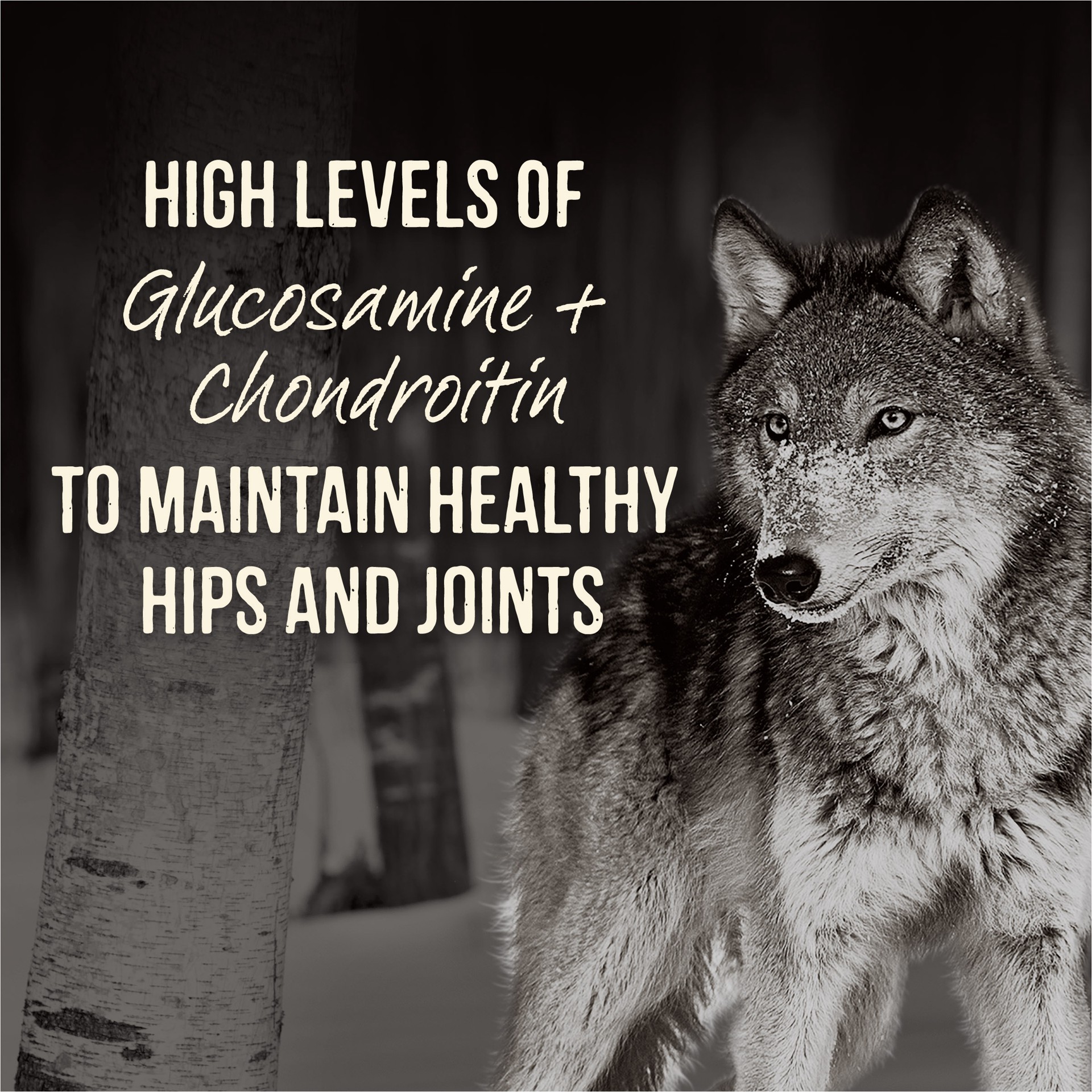 slide 4 of 9, Merrick Backcountry Grain Free Wet Dog Food Hero's Banquet Stew - 12.7 oz Can, 12.7 oz