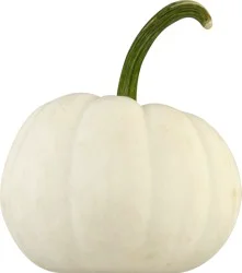Bay Baby Produce Casper Pumpkin 1 ea
