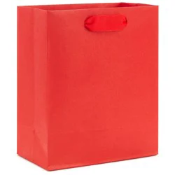 Hallmark Small Gift Bag