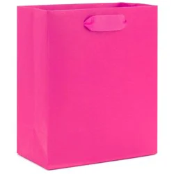 Hallmark Small Gift Bag