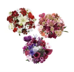 Organic Russet Potato