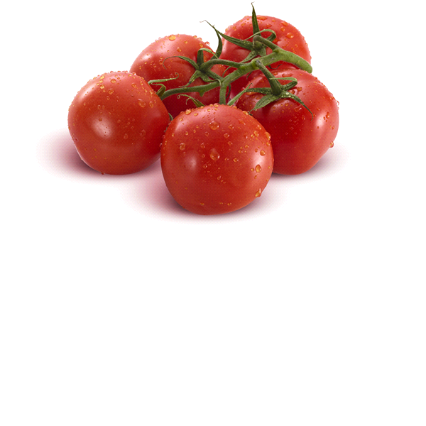 slide 1 of 1, Tasti-Lee Home Grown Tomatoes, 1 ct
