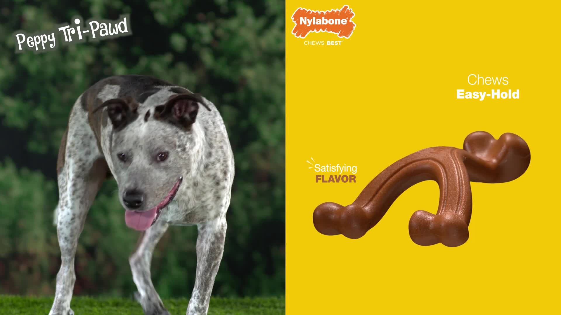 slide 2 of 10, Nylabone Antler Medium, 1 ct