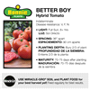 slide 8 of 9, Bonnie Plants  Tomato Better Boy, 19.3 oz