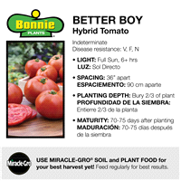 slide 7 of 9, Bonnie Plants  Tomato Better Boy, 19.3 oz