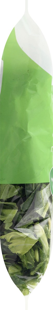 slide 7 of 13, Robinson Fresh Mixed Greens, 16 oz