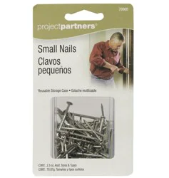 Project Partners Small Nails - Silver