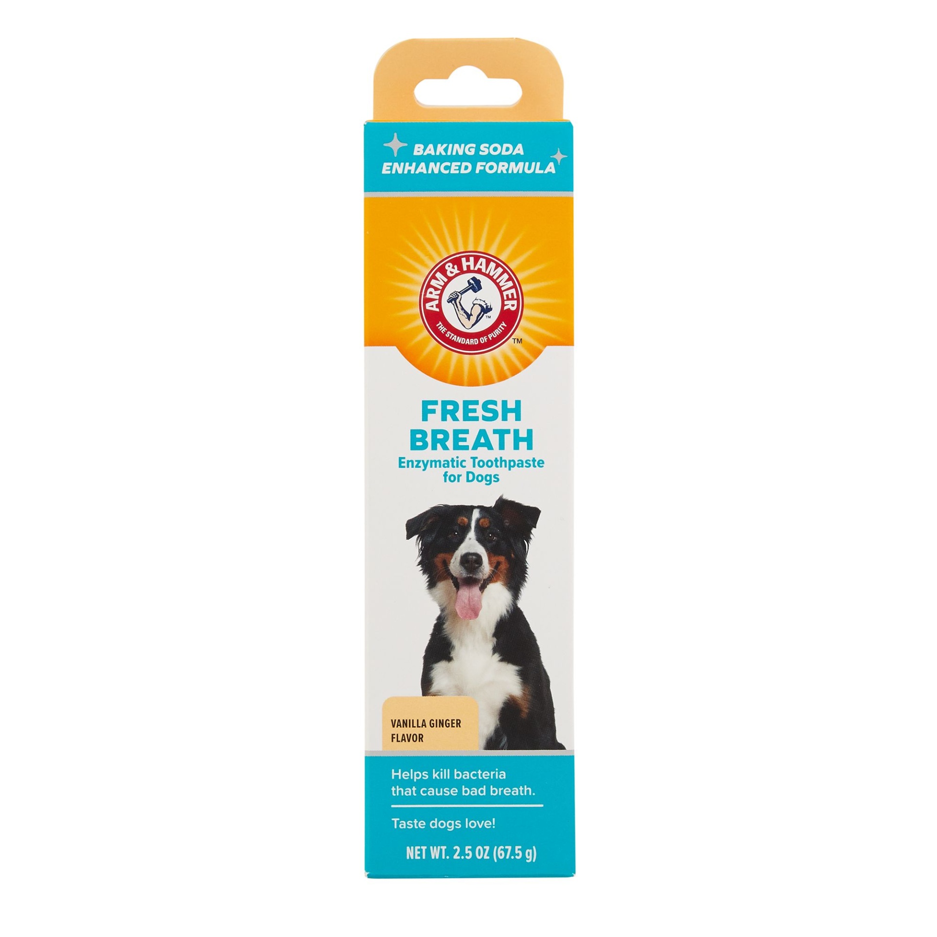 slide 1 of 1, ARM & HAMMER Fresh Breath Enzymatic Dog Toothpaste - Vanilla Ginger, 2.5 oz