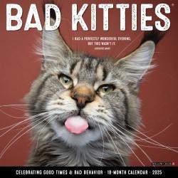 slide 1 of 1, 2025 Willow Creek Press Monthly Wall Calendar, 12"" X 12"", Bad Kitties, January To December, O41574, 1 ct