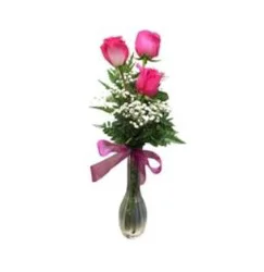 Red Roses - Triple Bud