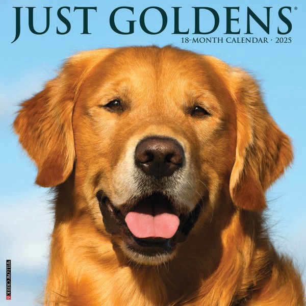 slide 1 of 1, 2025 Willow Creek Press Monthly Wall Calendar, 12"" X 12"", Goldens, January To December, O43134, 1 ct