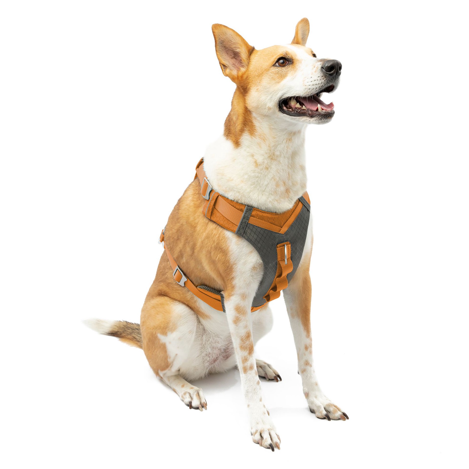 slide 1 of 1, Kurgo Journey Air Dog Harness, LG
