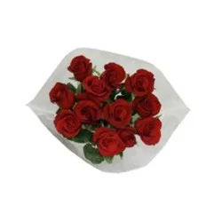Red Roses - Dozen Arranged
