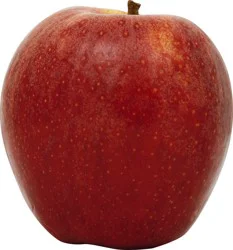 Large Gala Apple - 1 ea