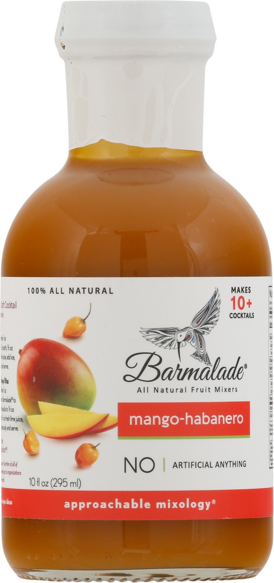slide 6 of 9, Barmalade All-Natural Mango-Habanero Fruit Mixers 10 fl oz, 10 fl oz