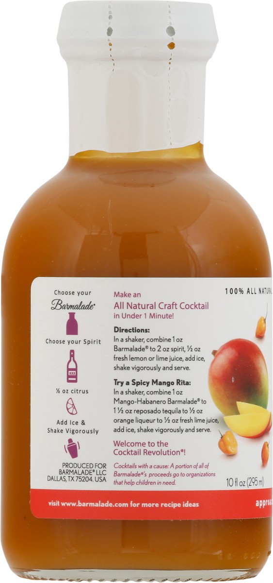 slide 3 of 9, Barmalade All-Natural Mango-Habanero Fruit Mixers 10 fl oz, 10 fl oz