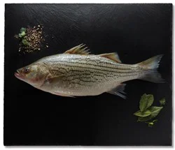Fresh Responsibly Farmed Whole Striped Bass