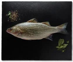 Fresh Responsibly Farmed Whole Striped Bass
