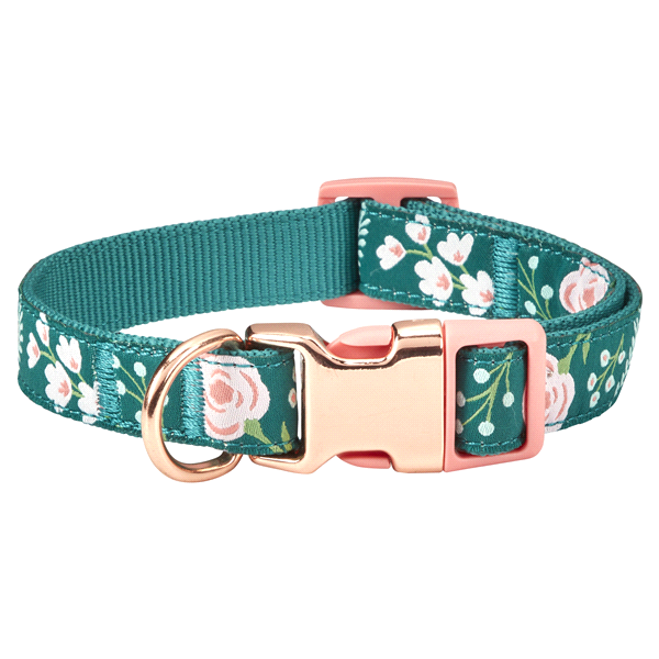 slide 1 of 1, Meijer Pet Collar, Floral Motif, Green, Extra Small, 1 ct