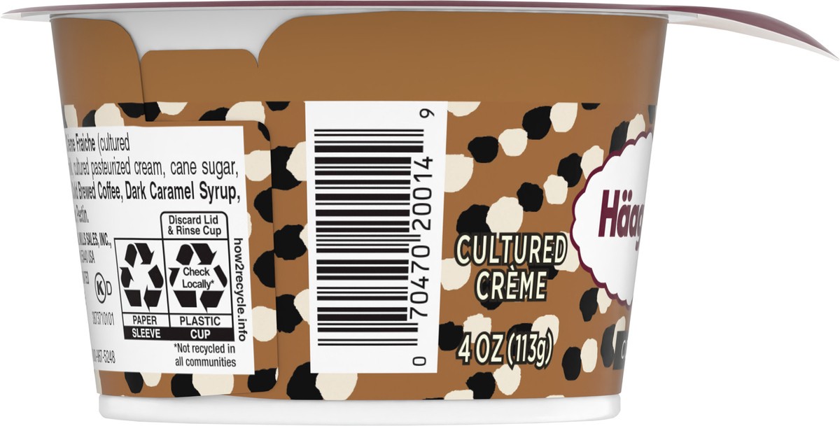 slide 4 of 9, Häagen-Dazs Haagen Dazs Cultured Cream Yogurt Style Snack, Coffee, 4 oz Cup, 4 oz